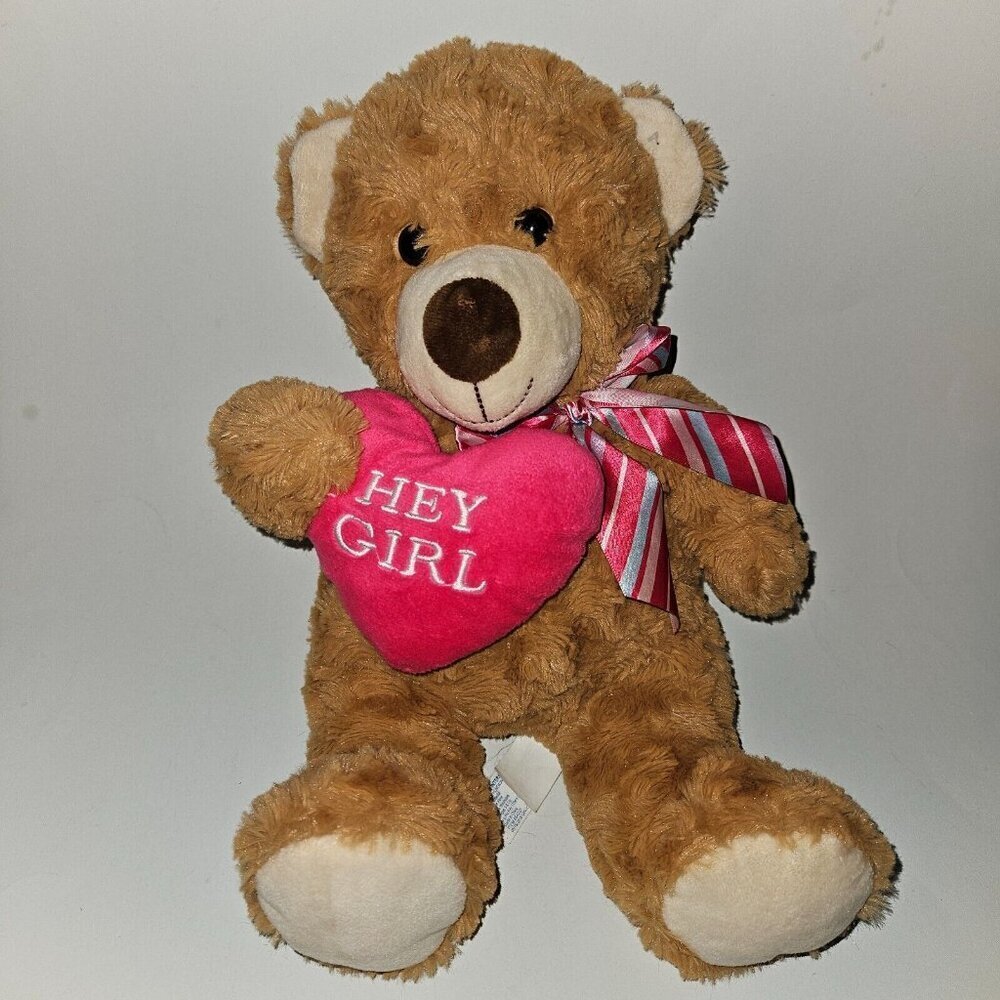 Brown Teddy Bear Plush Pink Heart Hey Girl Valentine's Day Stuffed Toy Hug Fun